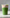Strawberry Cloud Matcha Latte - MatchaLand Deutschland
