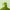 Aktionsbanner
