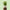 Aktionsbanner