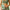 Aktionsbanner