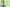 Aktionsbanner